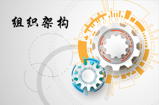 Organizational Sructure