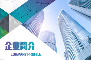 Company Profile